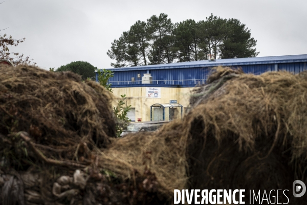 Blocages de la Coordination Rurale dans les Landes