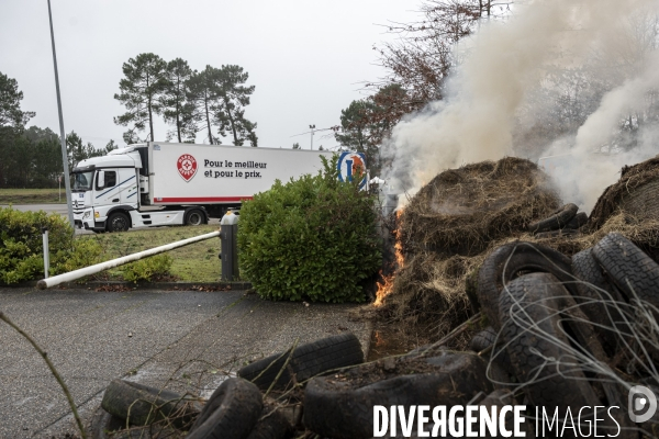 Blocages de la Coordination Rurale dans les Landes