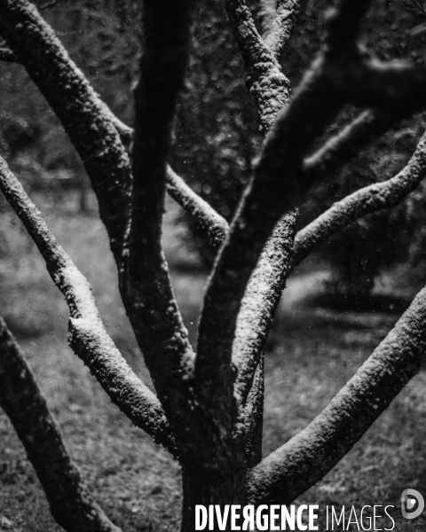 L envers de mon hiver # 26