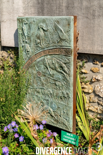 Le cimetière, un lieu pour les vivants