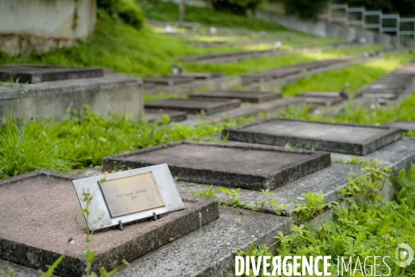 Le cimetière, un lieu pour les vivants