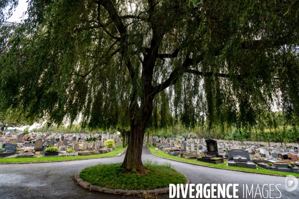 Le cimetière, un lieu pour les vivants