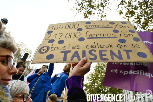 Manifestation Nous Toutes contre les violences faites aux femmes