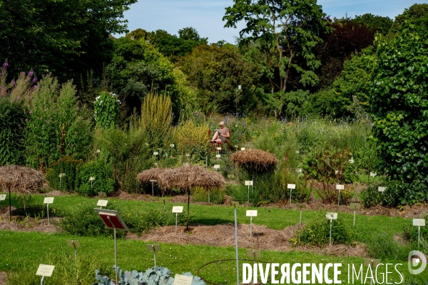 Caen en été
