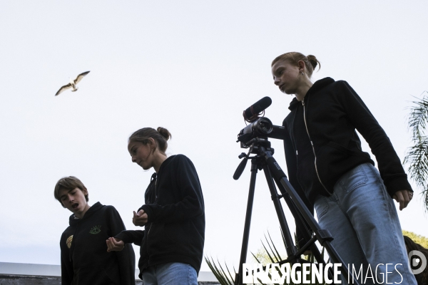 Rencontres cinematographiques de cannes 2024