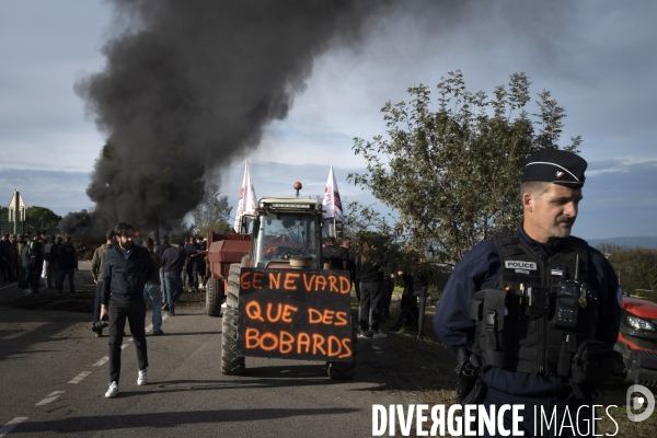 Manifestation FNSEA Perpignan