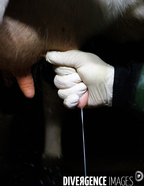 La ferme des 7 chemins
