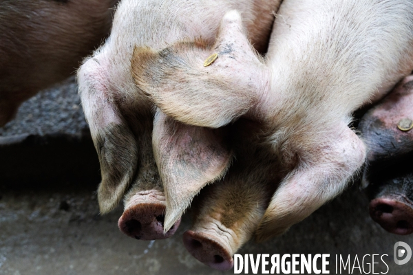 La ferme des 7 chemins