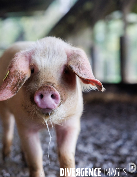 La ferme des 7 chemins