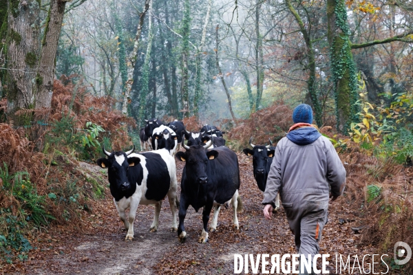 La ferme des 7 chemins