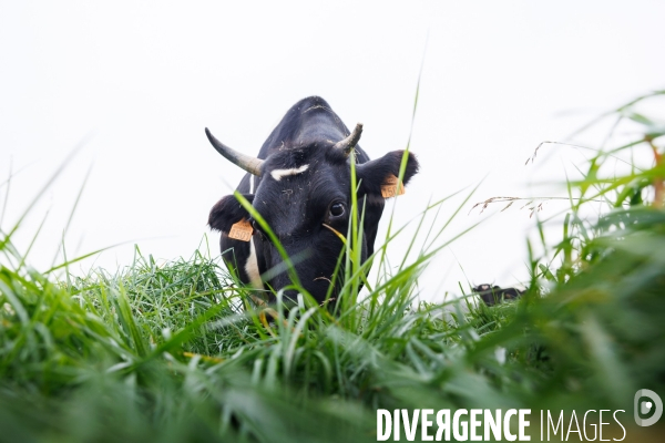 La ferme des 7 chemins