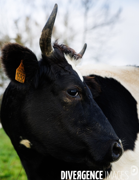 La ferme des 7 chemins