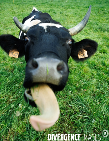 La ferme des 7 chemins