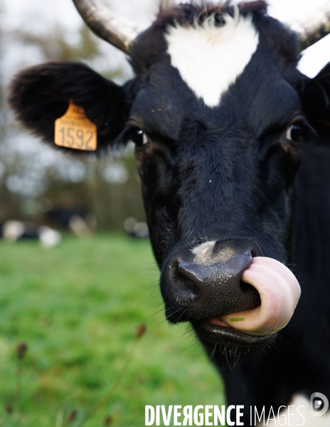 La ferme des 7 chemins