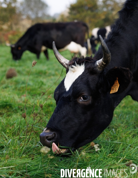La ferme des 7 chemins