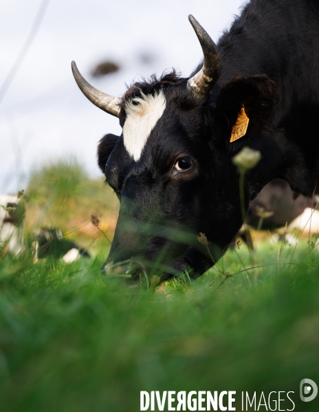La ferme des 7 chemins