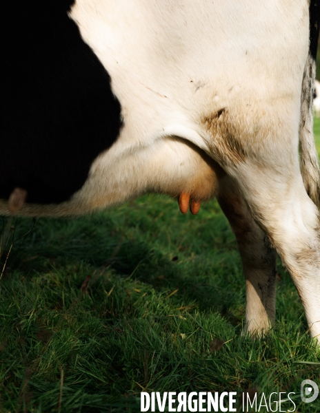La ferme des 7 chemins