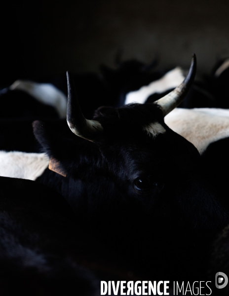 La ferme des 7 chemins
