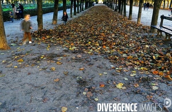 Automne !