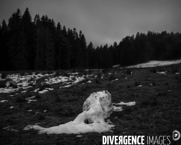 L envers de mon hiver # 28