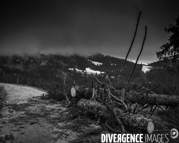L envers de mon hiver # 28