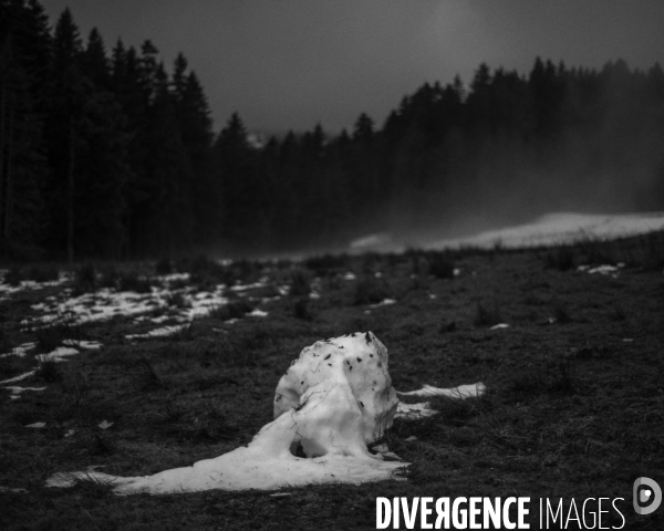 L envers de mon hiver # 28