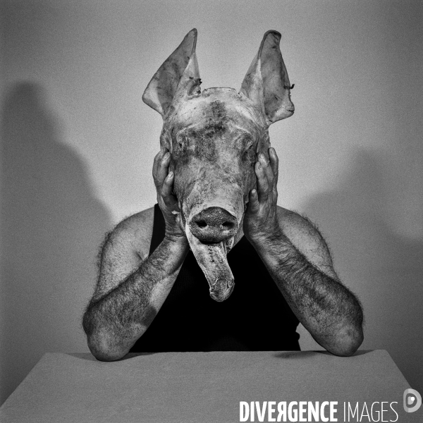 Autoportrait cochon