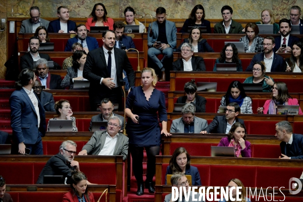 Assemblée nationale / Niche parlementaire de la France Insoumise