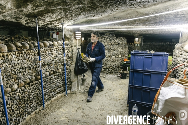 Restauration de murs d ossements aux catacombes de Paris