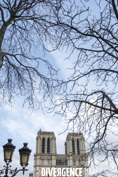Prépartion Réouverture de Notre-Dame de Paris