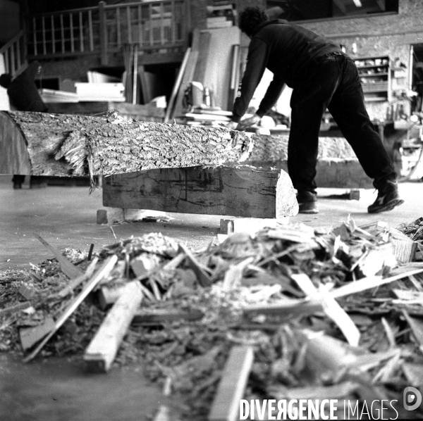 Chantier de Notre Dame