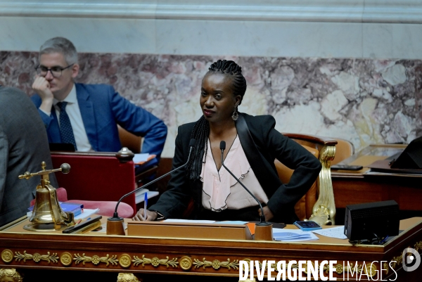 Assemblee Nationale / Nadège Abomangoli  