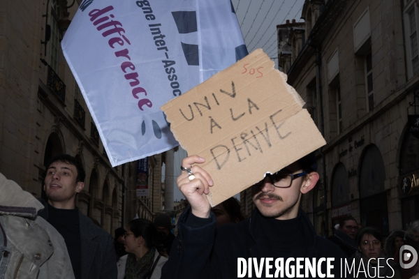 Manif fonction publique - Dijon