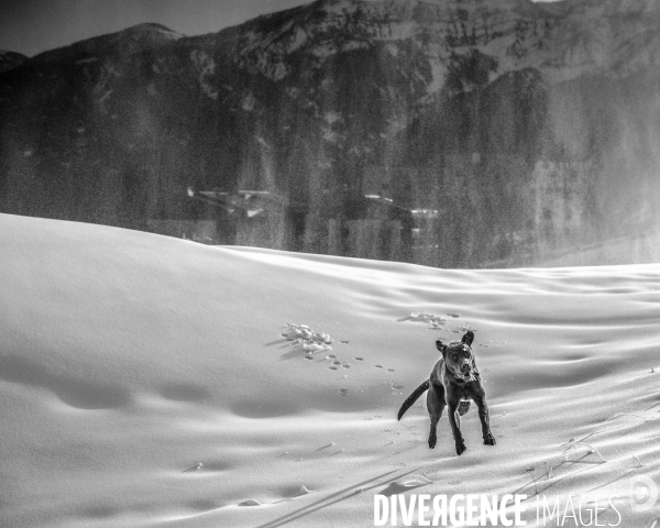 L envers de mon Hiver # 29 (FIN)