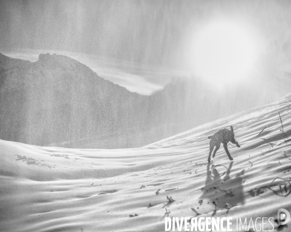 L envers de mon Hiver # 29 (FIN)