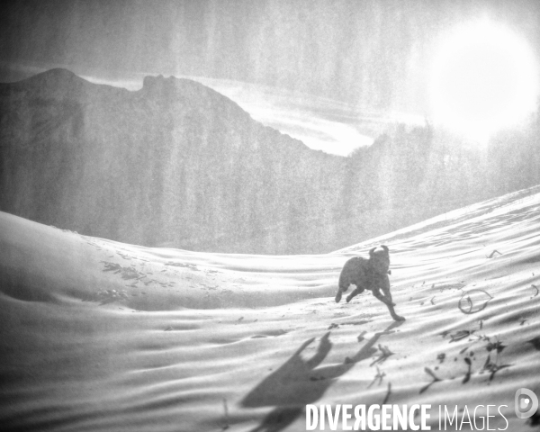 L envers de mon Hiver # 29 (FIN)