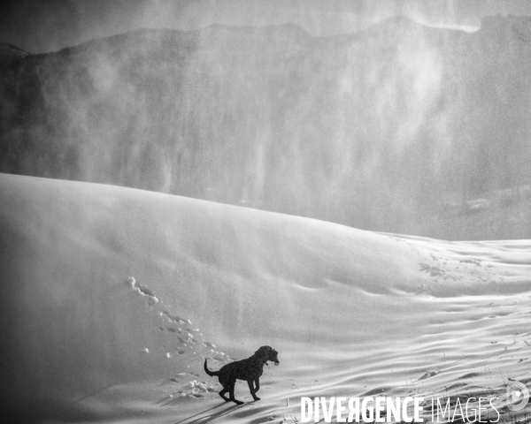L envers de mon Hiver # 29 (FIN)