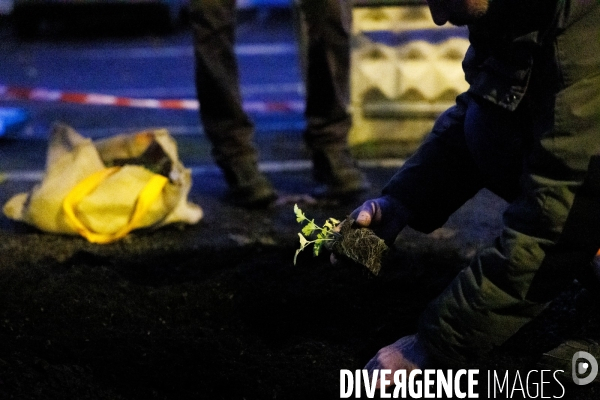 Ici on débitume, ailleurs on bétonne