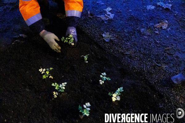 Ici on débitume, ailleurs on bétonne