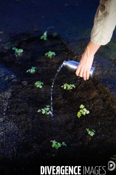 Ici on débitume, ailleurs on bétonne