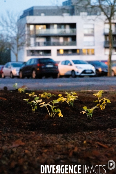 Ici on débitume, ailleurs on bétonne