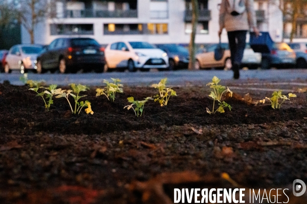 Ici on débitume, ailleurs on bétonne