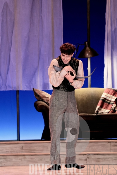 Casse-Noisette / Ballet de l Opéra national du Rhin /  Rubén Julliard