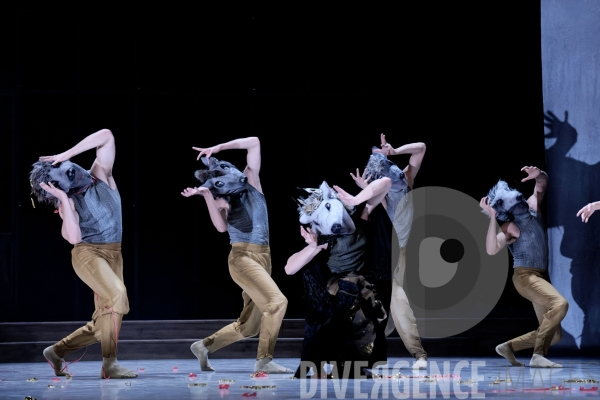 Casse-Noisette / Ballet de l Opéra national du Rhin /  Rubén Julliard