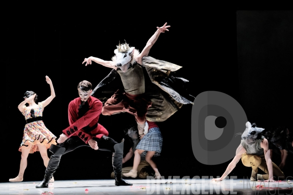 Casse-Noisette / Ballet de l Opéra national du Rhin /  Rubén Julliard