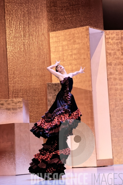 Casse-Noisette / Ballet de l Opéra national du Rhin /  Rubén Julliard