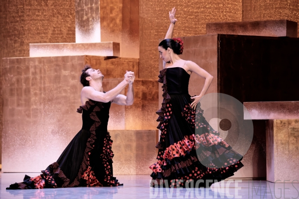 Casse-Noisette / Ballet de l Opéra national du Rhin /  Rubén Julliard