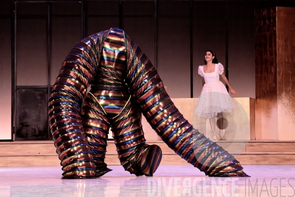 Casse-Noisette / Ballet de l Opéra national du Rhin /  Rubén Julliard