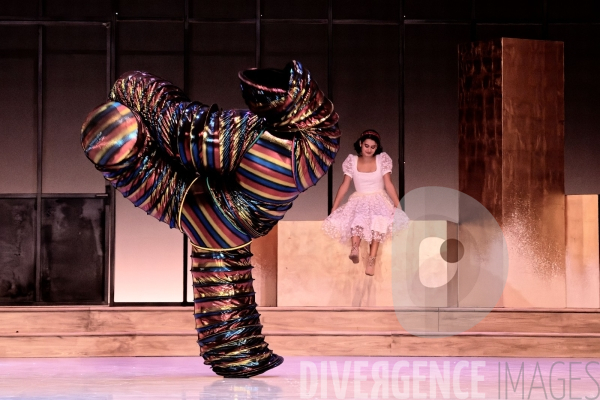 Casse-Noisette / Ballet de l Opéra national du Rhin /  Rubén Julliard