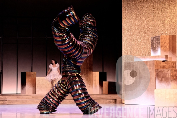 Casse-Noisette / Ballet de l Opéra national du Rhin /  Rubén Julliard